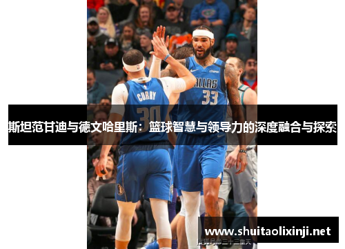 斯坦范甘迪与德文哈里斯：篮球智慧与领导力的深度融合与探索