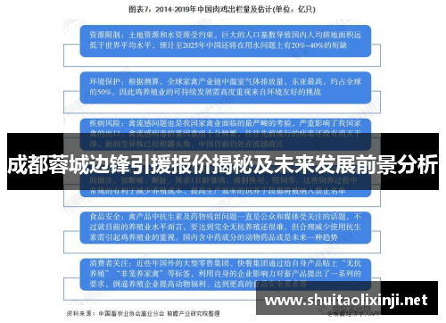 成都蓉城边锋引援报价揭秘及未来发展前景分析